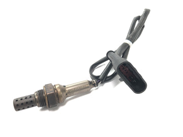 Benelli TNT 1130 [2009] - Sonde lambda