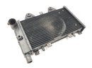 Triumph Daytona 900 T300 [1996] - Radiator water cooler-4