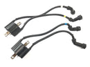 Yamaha XJR 1300 RP06 [2002] - Zündspulen mit Stecker Set Paar-1