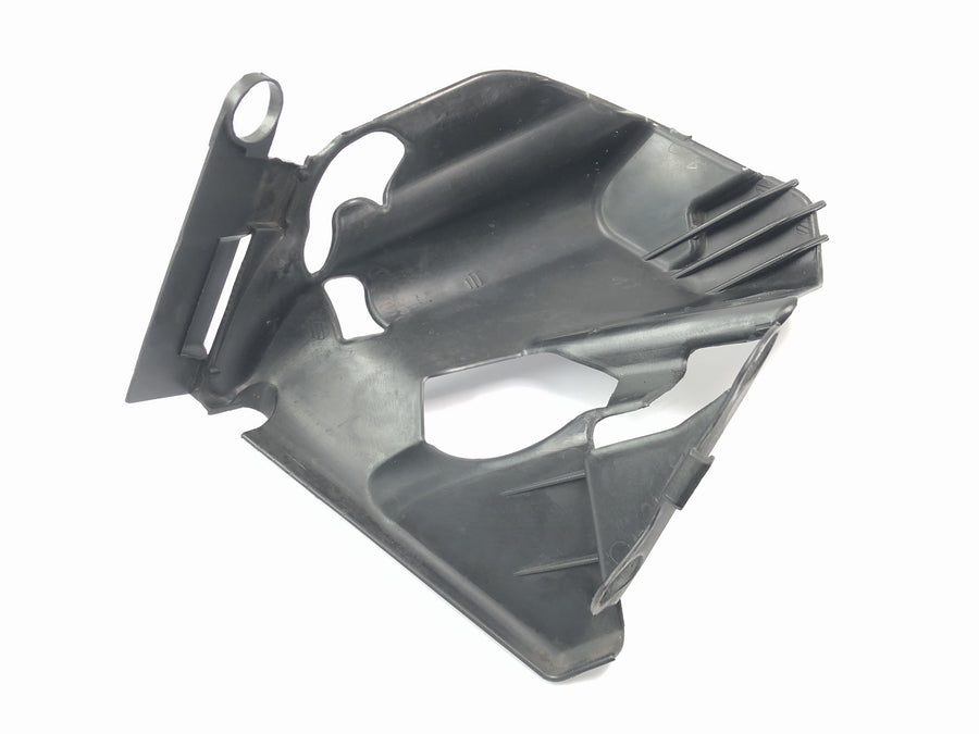 Benelli TNT 1130 [2009] - Cache radiateur