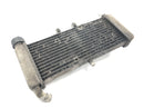 Aprilia RS 125 TW [2017] - Radiator water cooler cooling system radiator network-1