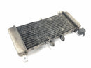 Aprilia RS 125 TW [2017] - Radiator water cooler cooling system radiator network-2