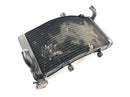 Honda CBR 900 RR Fireblade SC33 [2000] - Kühler Wasserkühler Kühlradiator-4
