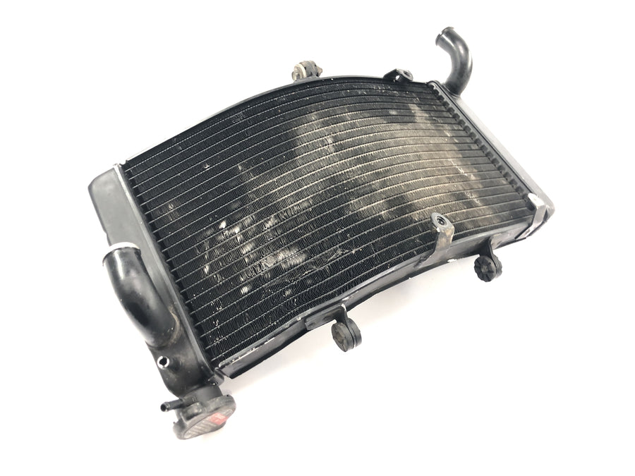 Honda CBR 900 RR Fireblade SC33 [2000] - Kühler Wasserkühler Kühlradiator