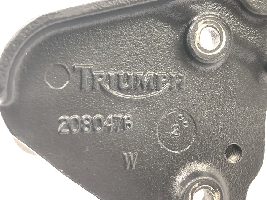 Triumph Tiger 955i 709EN [2003] - Fahrerfußraste rechts mit Halter Rastenanlage