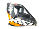 Aprilia RSV 1000 RP Mille [2001] - Side fairing left-1