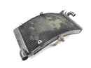 Honda CBR 900 RR Fireblade SC33 [2000] - Kühler Wasserkühler Kühlradiator-5