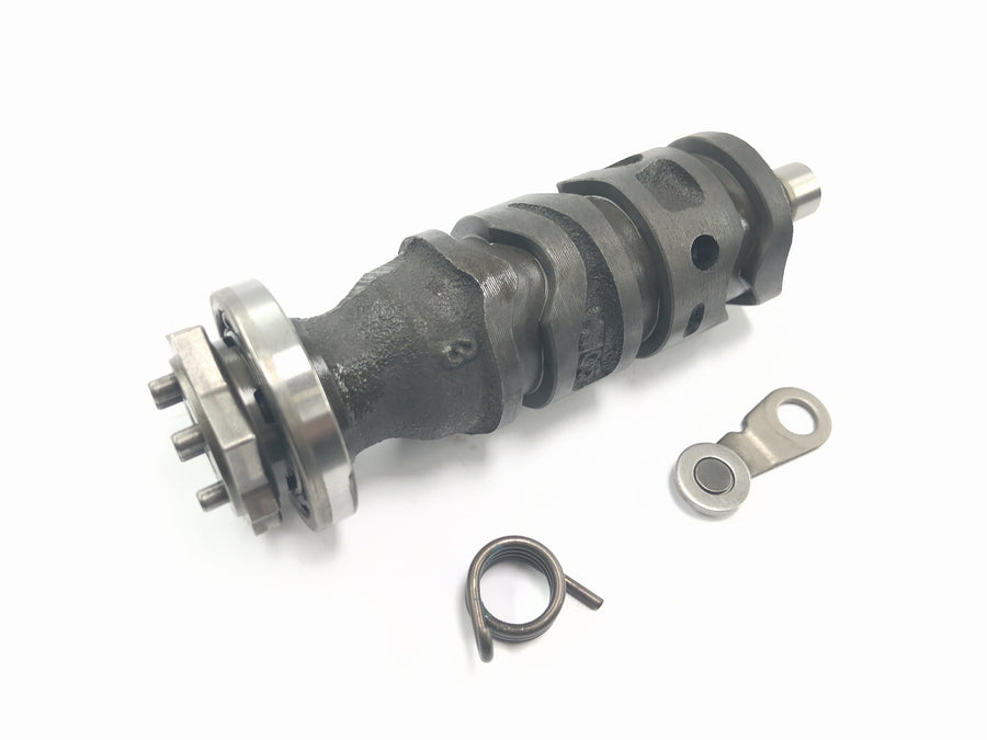 Honda CBR 900 RR Fireblade SC33 [2000] - shift drum shift star shift cam shift mechanism