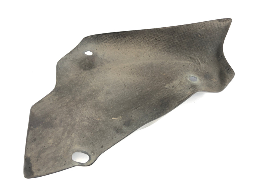 Ducati 1098 S H7 [2009] - exhaust heat protection.