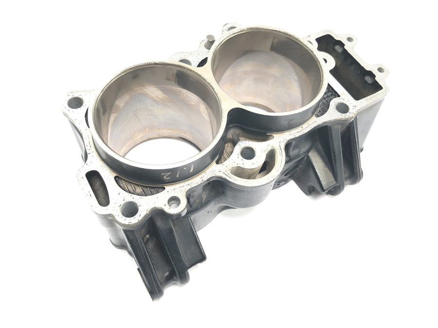 Kawasaki Versys KLE 650 A [2006] - cylinder with piston cylinder block