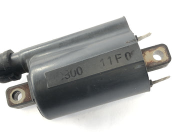 Yamaha XT 660 DM01 [2004] - Zündspule mit Kabel und Kerzenstecker - 0