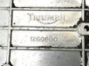 Triumph Thunderbird 900 T309RT [1996] - Ritzelabdeckung Motordeckel-4