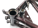 Benelli TNT 1130 [2009] - Rahmen mit Papieren-4