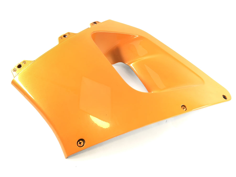 Honda CBR 900 RR SC28 [1994] - COURT DE RADIGE DE COURT