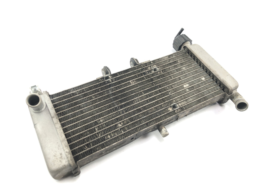 Aprilia RS 125 TW [2017] - Radiator water cooler cooling system radiator network