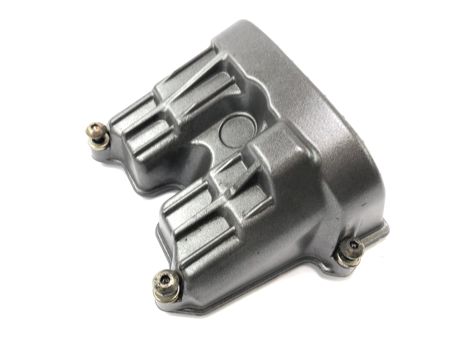 Aprilia RST 1000 Futura [2002] - cylinder head lids at the front