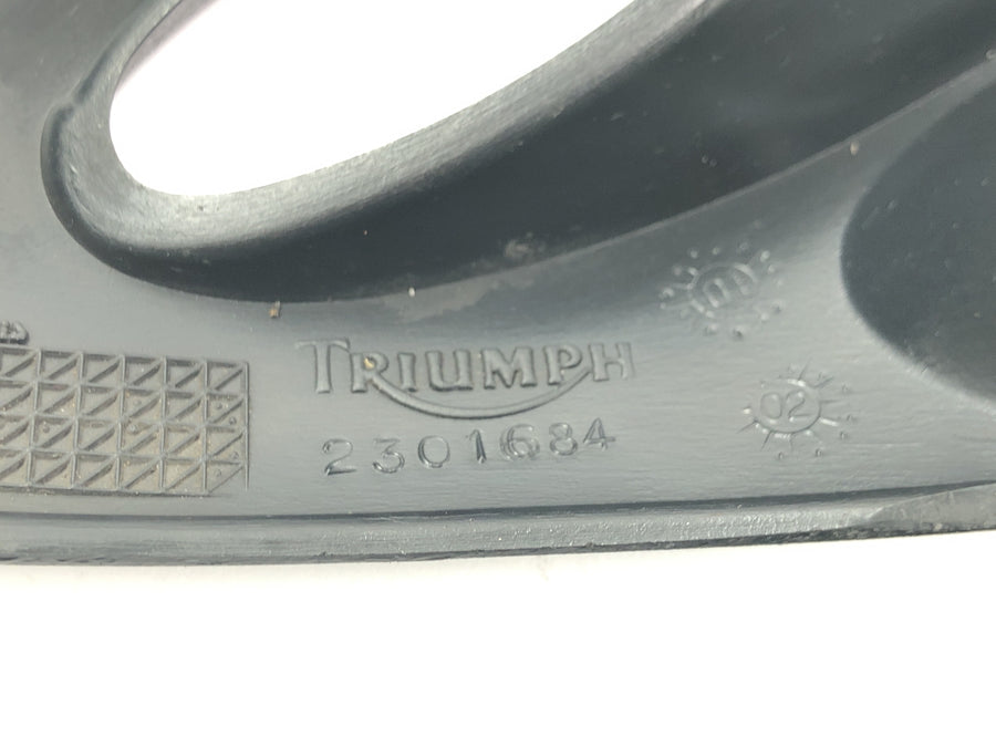 Triumph Tiger 955i 709EN [2003] - Blinkerhalterung vorne Verkleidung Seitencover