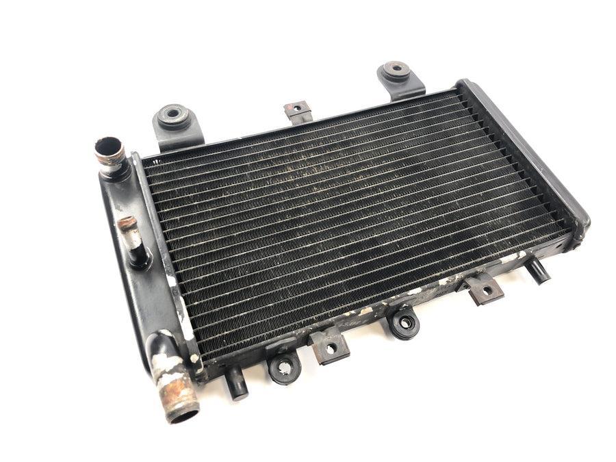 Triumph Tiger 955i 709EN [2003] - Radiator water cooler cooling system