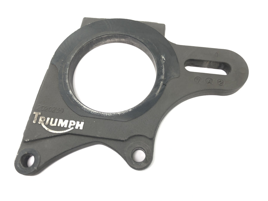Triumph Speed Triple 1050 515NJ [2007] - Rear anchor plate