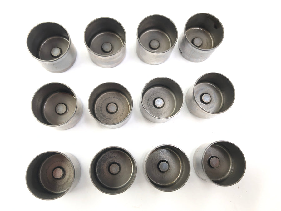Triumph Daytona 955i T595 [1999] - Plunger cups Plunger cups