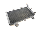 Triumph Tiger 955i 709EN [2003] - Radiator water cooler cooling system-2