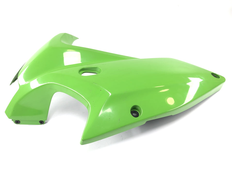 Kawasaki ZRX 1200 S ZRT20A [2002] - Clearing side cladding on the left