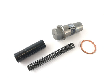 BMW R 1100 GS [1990] - timing chain tensioner - 0