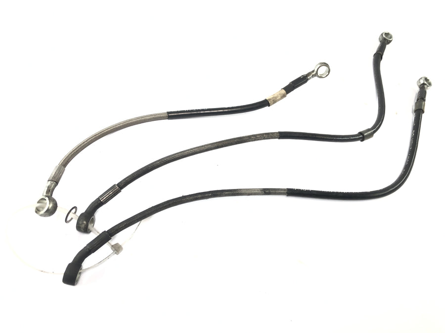 Triumph Daytona 900 T300 [1996] - Brake line front brake lines hose