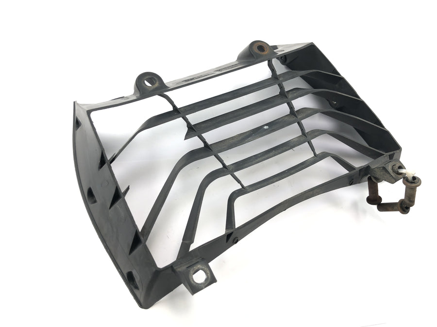 KTM RC 125 [2016] - Kühlerabdeckung Kühlergitter Kühlerverkleidung Radiator