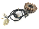 Yamaha XT 660 DM01 [2004] - Stator mit Pickup Lichtmaschine-4