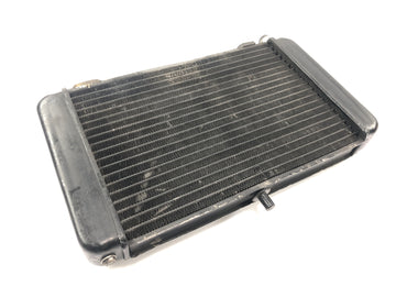 Aprilia RS 125 Extrema [1994] - Radiator water cooler radiator cooling system