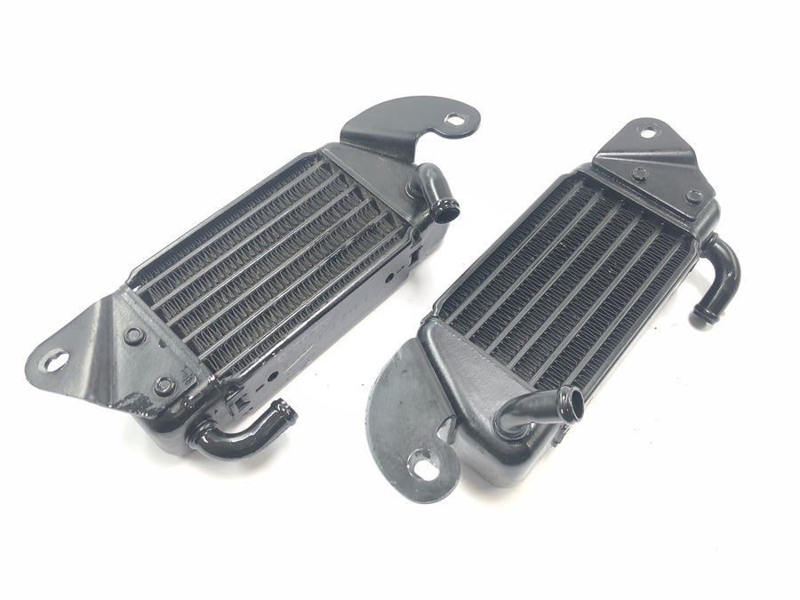 BMW R 1200 CL K30 [2003] - Radiateur de refroidisseur de refroidisseur d'huile sur l'ensemble droit gauche