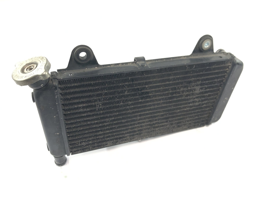 Yamaha MT 03 RM02 [2007] - Radiateur refroidisseur d'eau refroidisseur moteur système de refroidissement radiateur