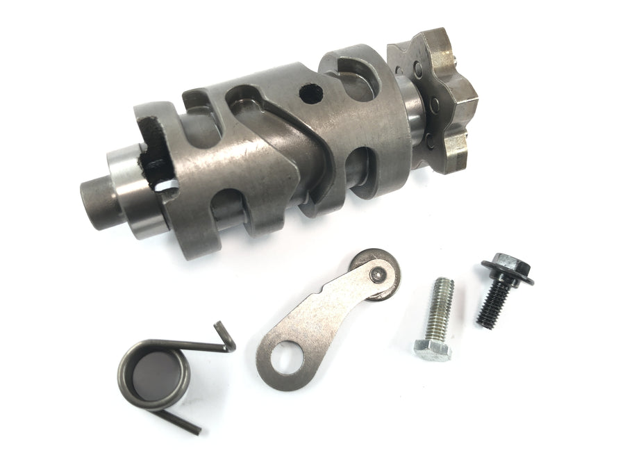 SWM SM 125 R [2018] - shift drum shifting mechanism
