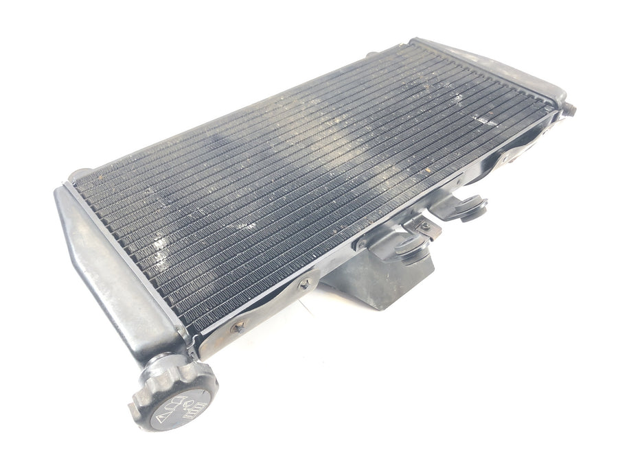 Triumph Daytona 955i T595N [2003] - Kühler Wasserkühler Radiator vorne