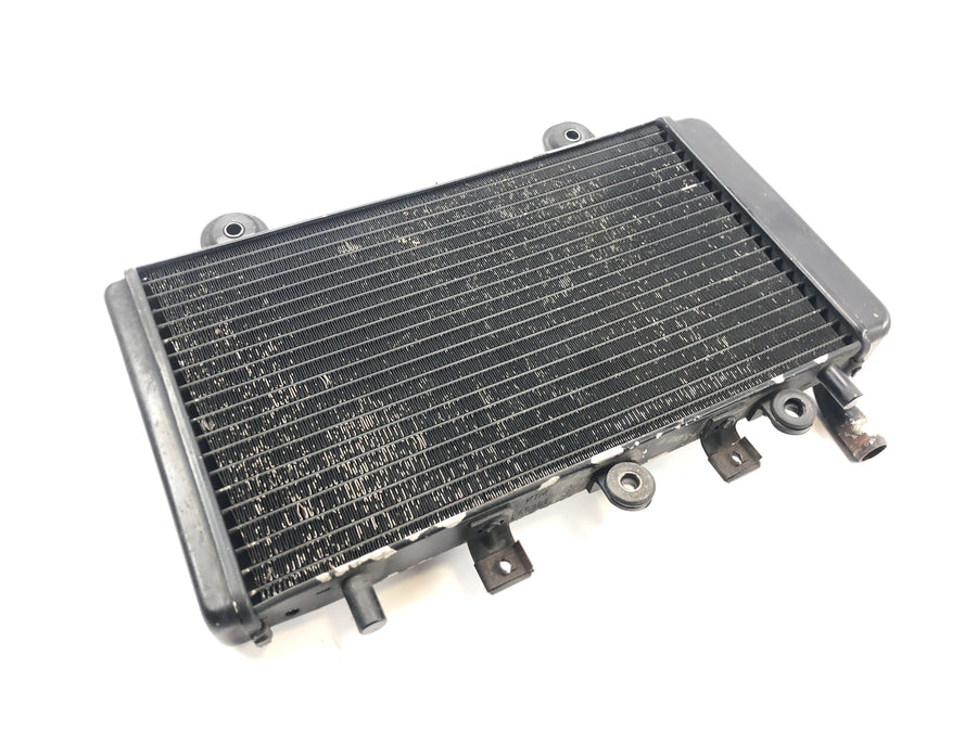 Triumph Tiger 955i 709EN [2003] - Radiator water cooler cooling system