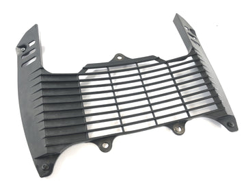 Yamaha XT 660 DM01 [2004] - Kühlergitter Abdeckung Kühler