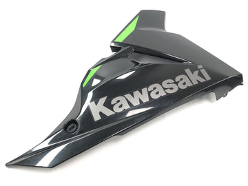 KAWASAKI NINJA 125 BX125B [2024] - Effacement de la page Claade de bogue