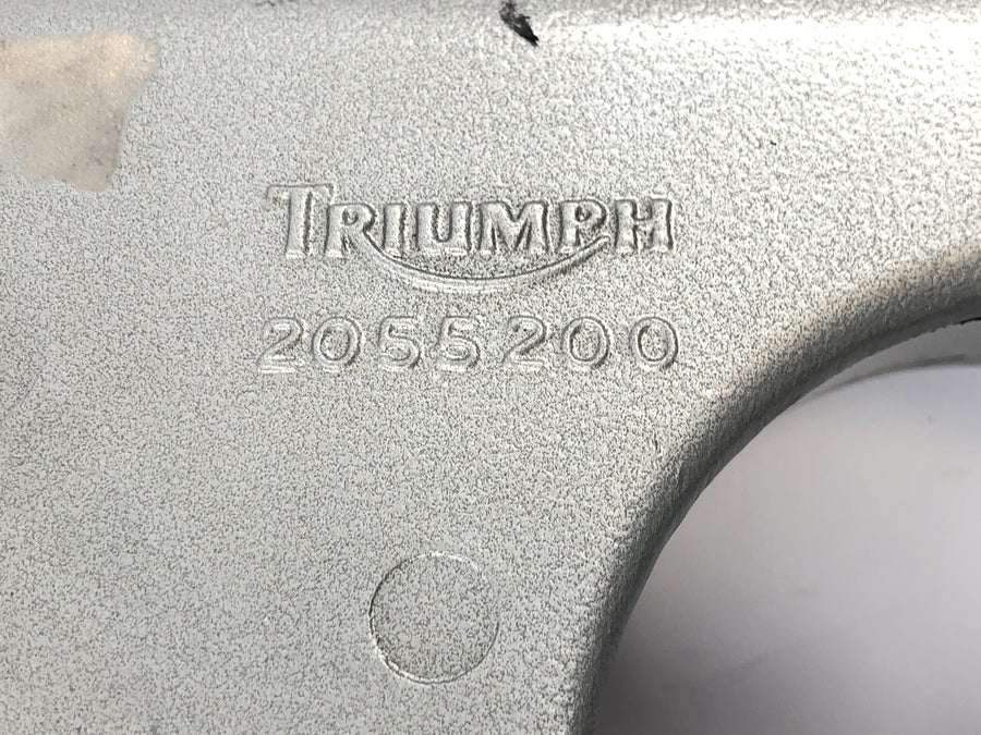 TRIUMPH DAYTONA 955I T595 [1998] - Schwinge Hinterradschwinge Schwingenarm