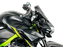 Kawasaki Z 900 [WRS] – Windschild-4