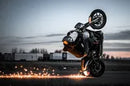 Harley-Davidson FXSBSE2 1800 Breakout CVO [2014] - Disque de frein Cubiq™ - photo 10