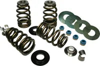 Buell S 3 Thunderbolt [1996] - Econo Beehive® Ventilfeder-Kit – Bild 5