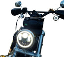 harley davidson sportster s rh 1250 s [CUSTOM DYNAMICS] – 5-3/4" LED Halo Scheinwerfer-2