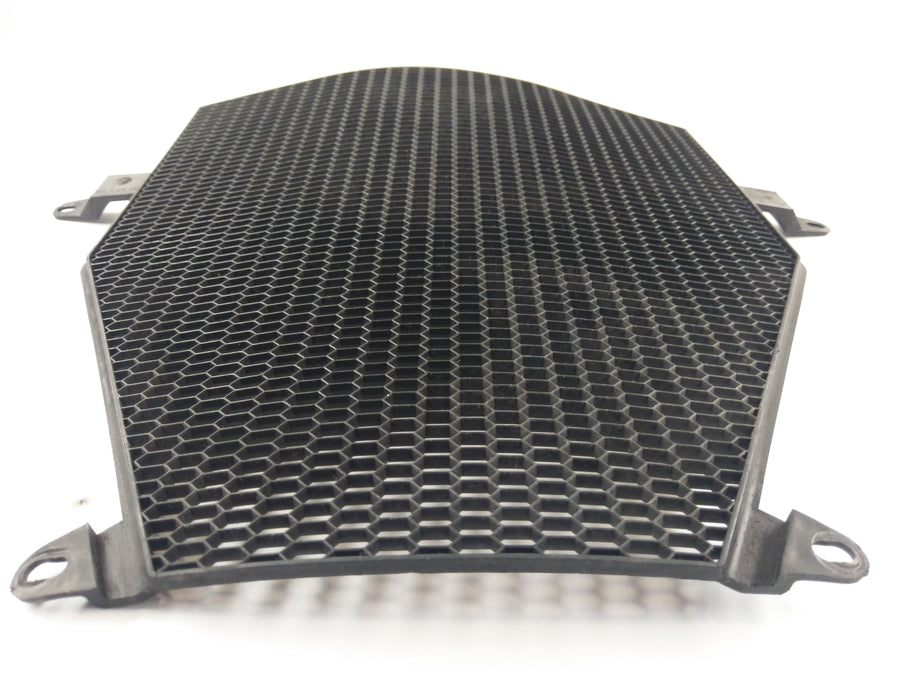 BMW K 1200 R [2010] - Cache radiateur