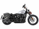 Harley-Davidson Softail Slim [2018-2022] -C-Bow Side Carrier-3