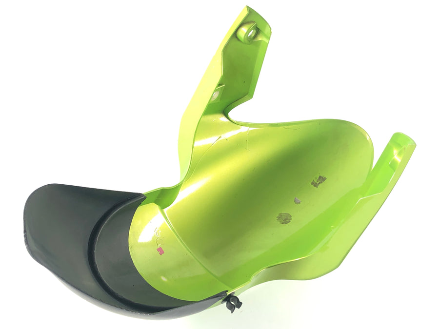Triumph Street Triple R 675 D67LD [2008] - Front fender