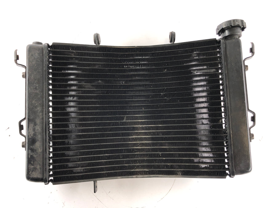 Triumph Street Triple R 675 D67LD [2008] - Radiator Water Cooler