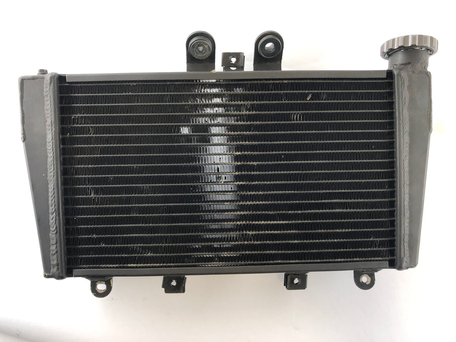 Triumph Speed ​​​​Triple 1050 515NJ [2006] - Radiateur d'eau