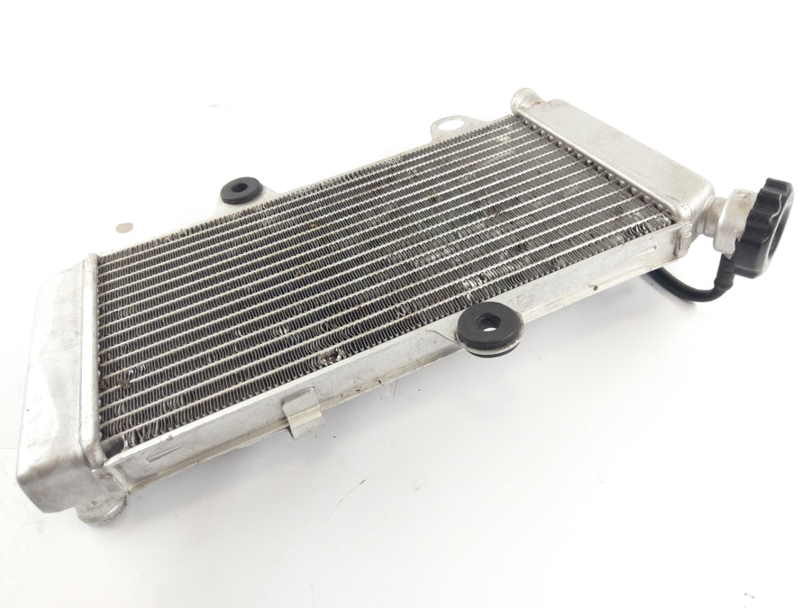 Yamaha XT 660 X DM01 [2006] - Radiateur d'eau