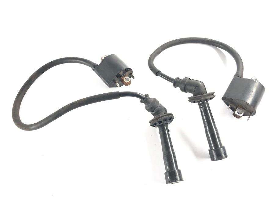 Suzuki DL 1000 V-Strom [2006] - Ignition Coil Set Pair